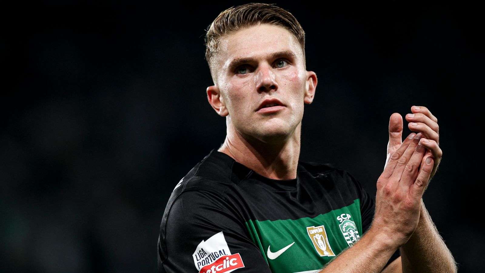 历史表现以 历史表现以