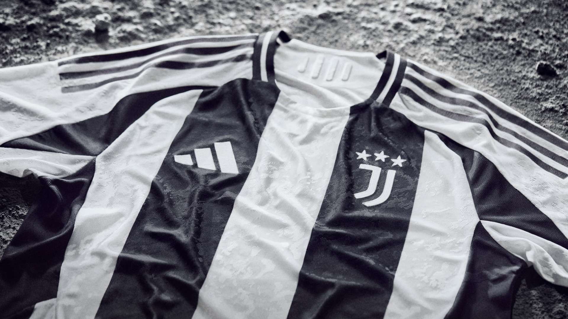 首发阵容解 首发阵容解